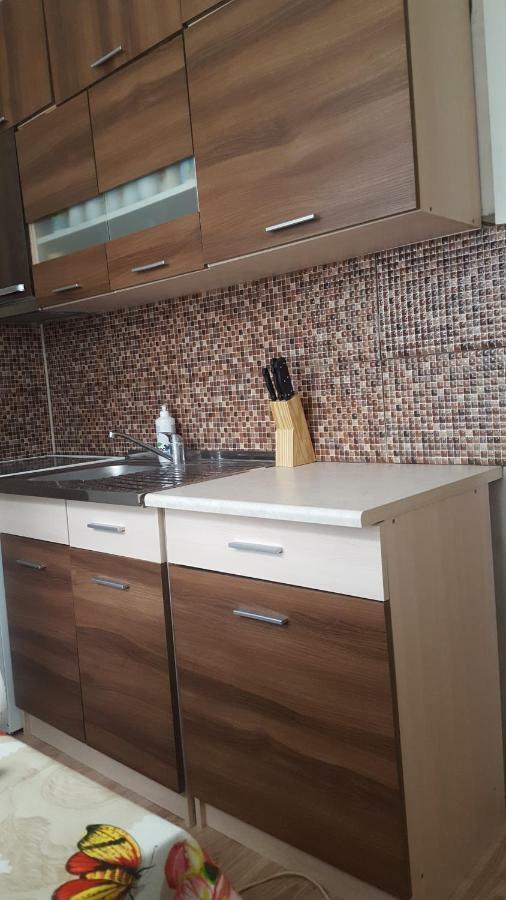 Poilsis Ignalinoje Apartamentai מראה חיצוני תמונה